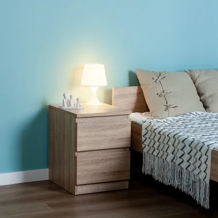 2.05.03.010.3 МАЛЬТА тумба 2 ящика 40х54 сонома RU