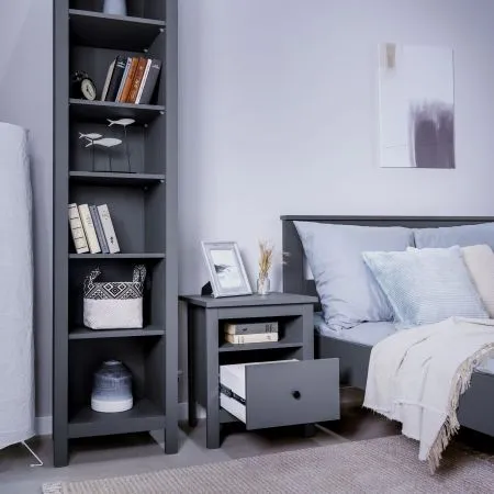 2.08.03.010.4 САГА тумба серая