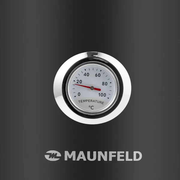 Чайник MAUNFELD MFK-624 Черный