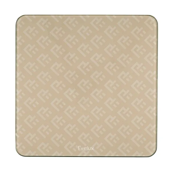 Весы напольные EBS 1001